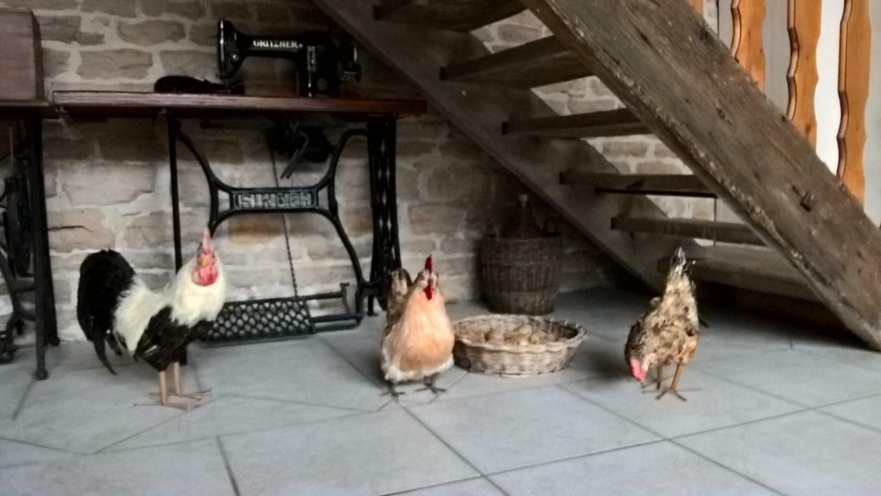 ポン・ド・ヴォー La Ferme Du Grand Faubourg Bed & Breakfast エクステリア 写真